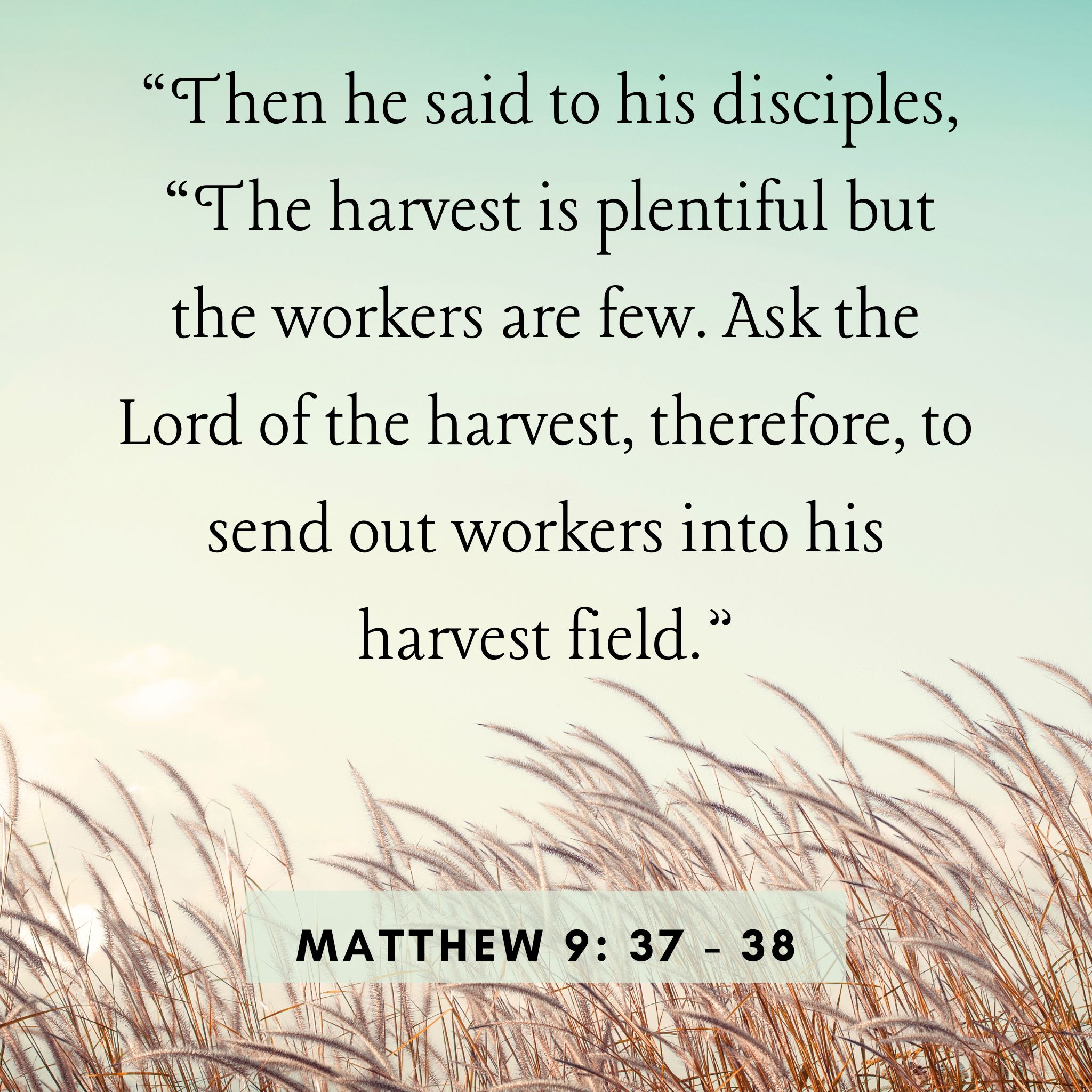 Harvesters Wanted – The International Baptist Church of Dakar