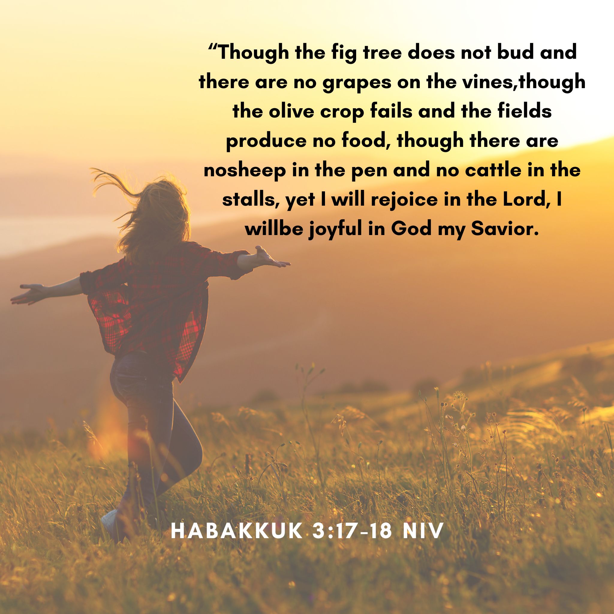 Rejoice In The Lord The International Baptist Church Of Dakar