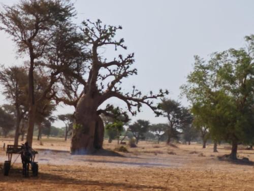 Koulouck Village Trip with Hong Kong Missionaries