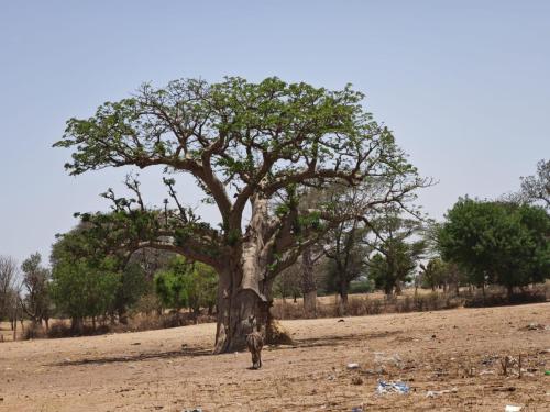 Koulouck Village  Trip with Hong Kong Missionaries 