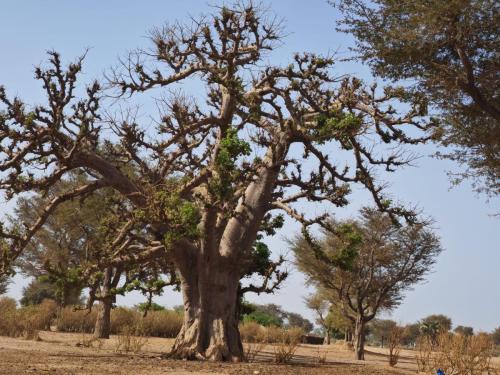 Koulouck Village  Trip with Hong Kong Missionaries 